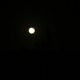 Illustration for article titled DEFINITELY a Full Moon Tonight. SHOCKER!